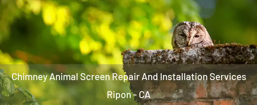 Chimney Animal Screen Repair And Installation Services Ripon - CA
