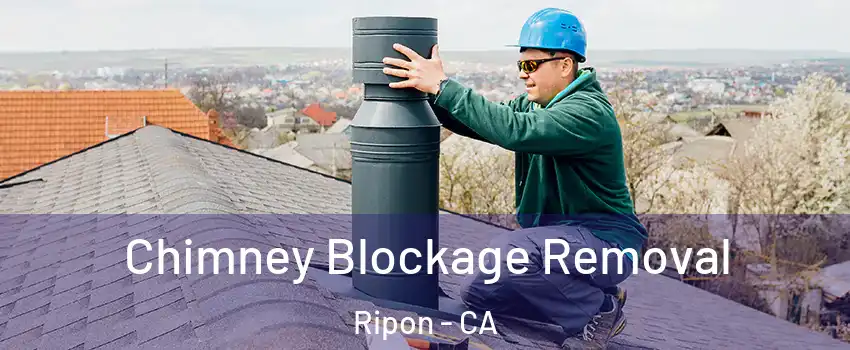  Chimney Blockage Removal Ripon - CA