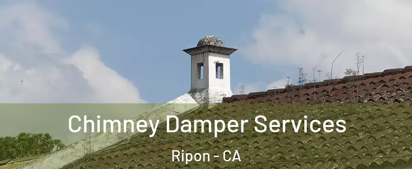  Chimney Damper Services Ripon - CA