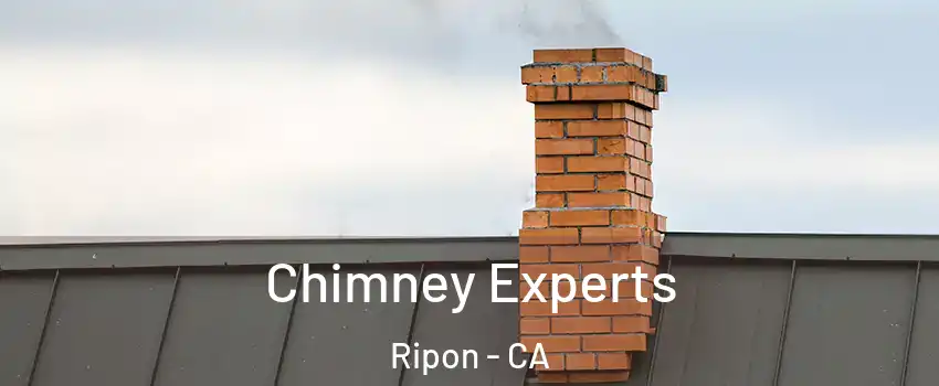  Chimney Experts Ripon - CA