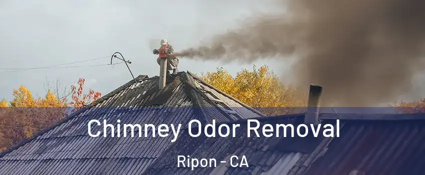  Chimney Odor Removal Ripon - CA