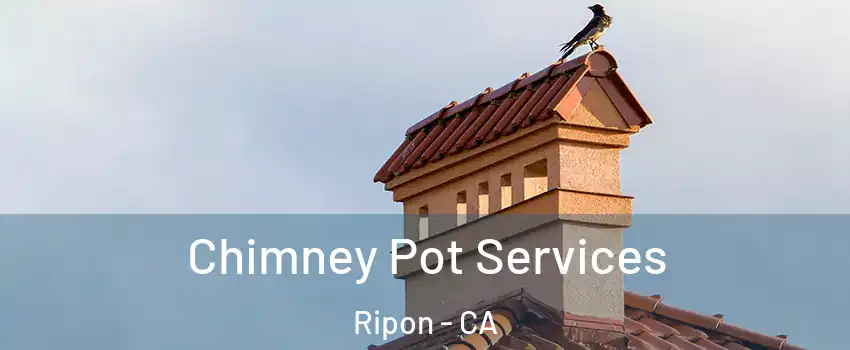  Chimney Pot Services Ripon - CA