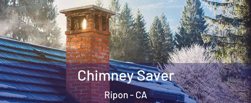  Chimney Saver Ripon - CA