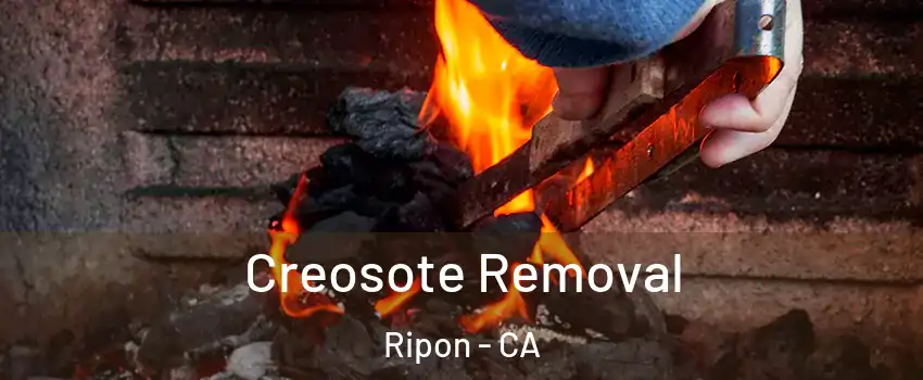  Creosote Removal Ripon - CA
