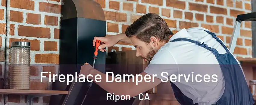  Fireplace Damper Services Ripon - CA