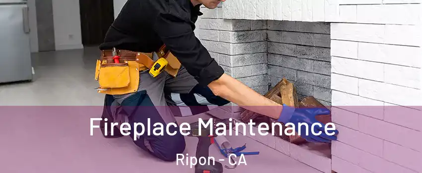  Fireplace Maintenance Ripon - CA