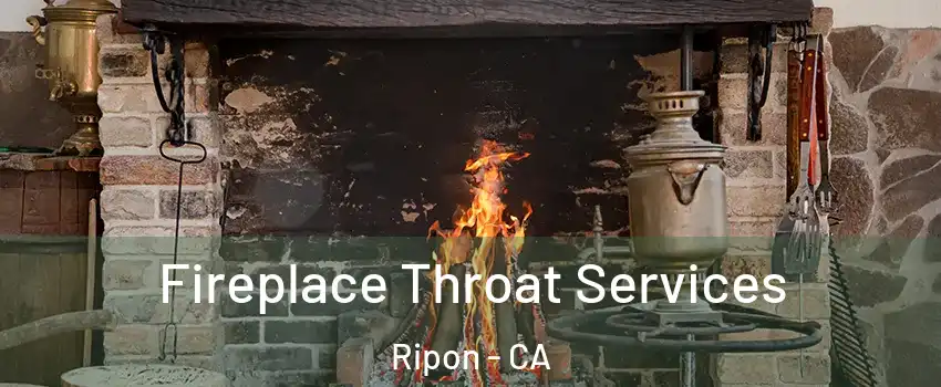  Fireplace Throat Services Ripon - CA