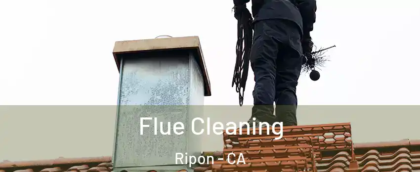  Flue Cleaning Ripon - CA
