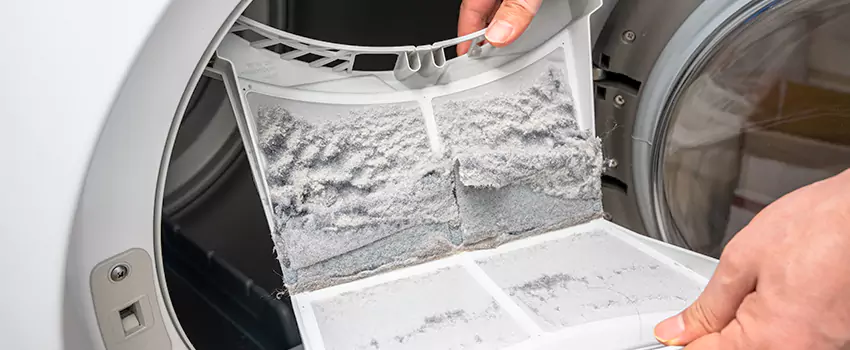 Best Dryer Lint Removal Company in Ripon, California