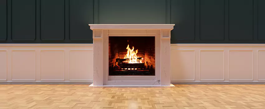 Napoleon Electric Fireplaces Inspection Service in Ripon, California