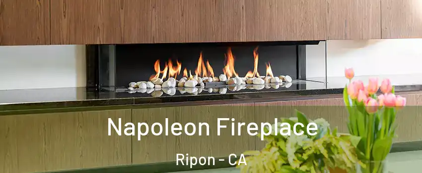  Napoleon Fireplace Ripon - CA